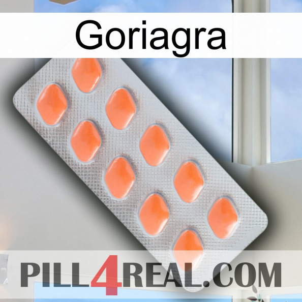 Goriagra 26.jpg